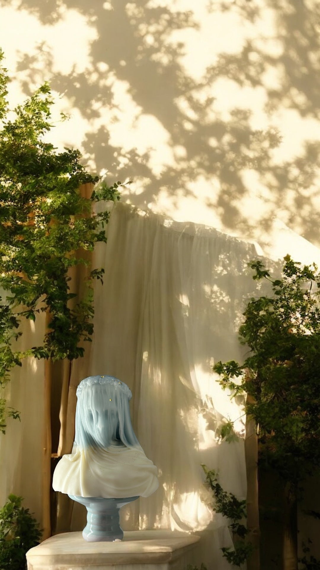 Veiled Lady